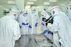 什么是P3实验室，建立P3实验室的要求是怎样
